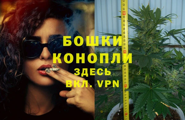 спиды Михайлов