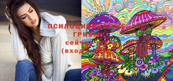 бошки Абаза