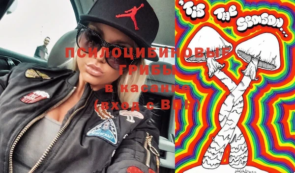 шишки Абинск