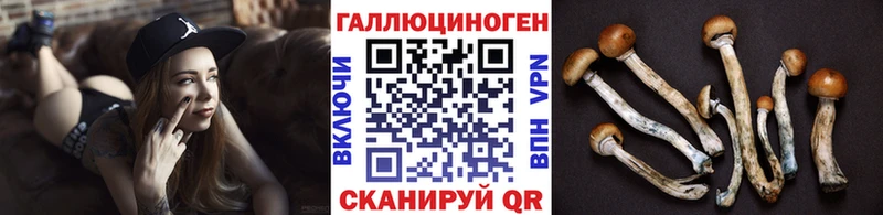 Псилоцибиновые грибы Cubensis  купить наркотик  Яранск 